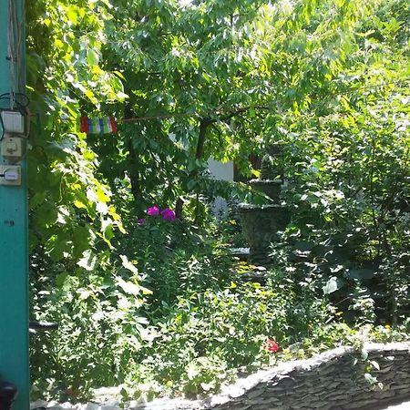 Lovely Home For You Osh Dış mekan fotoğraf